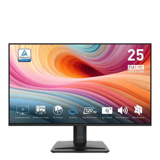 MSI PRO MP251